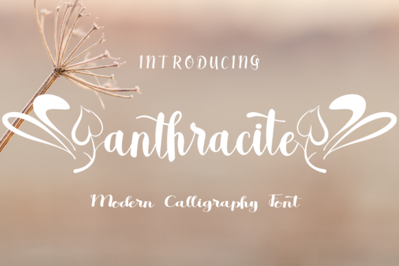 Anthracite Font for a Polished Brand Look