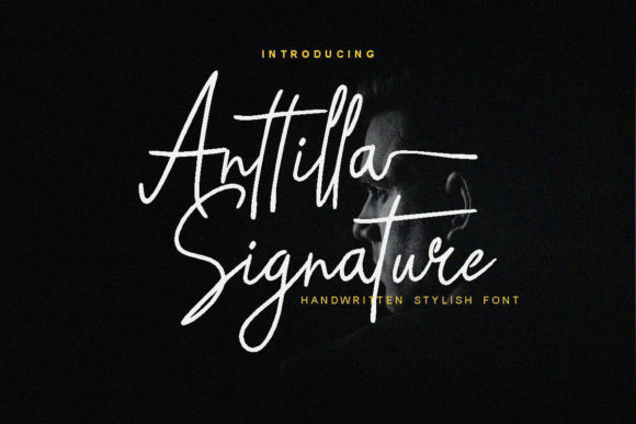 Anttilla Signature: A Premium Script Font for Business Branding
