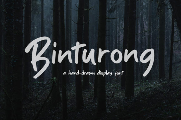 Binturong Font: A Playful Script for Modern Web Design