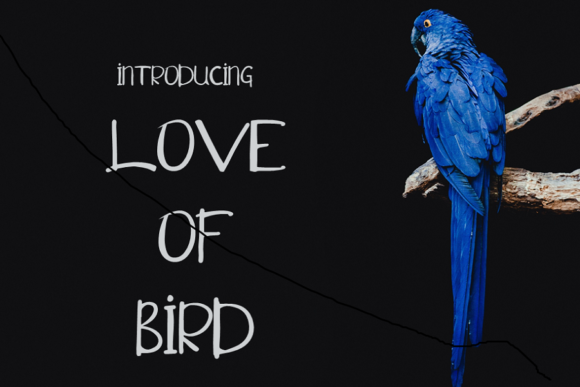Love of Bird Font: A Sweet Touch for Editorial Design
