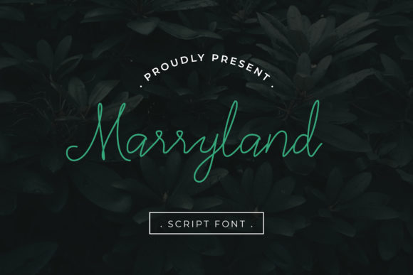 Marryland Font for Editorial Design and Stylish Branding