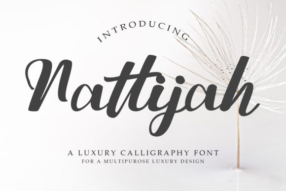 Nattijah Font for Creative Handmade Designs