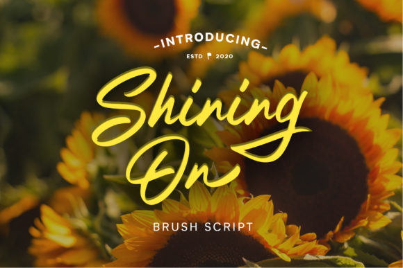 Shining on Font: A Handwritten Script for Stunning Craft Projects