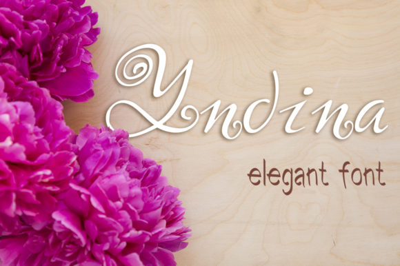 Yndina Font: A Stylish Script for Small Business Branding